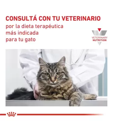 Royal Canin Renal | Alimento Especial para Gatos con Problemas Renales