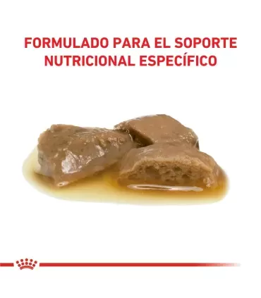 Royal Canin Renal | Alimento Húmedo para Gatos con Problemas Renales