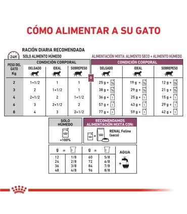Royal Canin Renal | Alimento Húmedo para Gatos con Problemas Renales