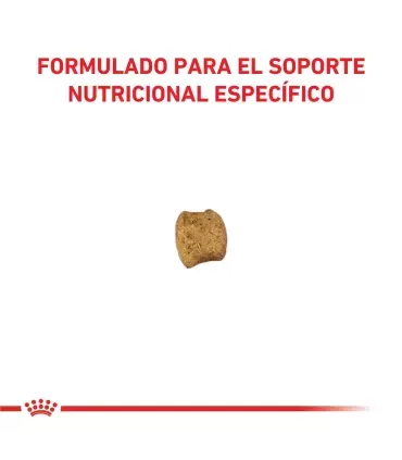 Royal Canin Early Renal | Alimento Gatos Cuidado Renal 1.5kg