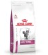 Royal Canin Early Renal  Feline