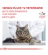 Royal Canin cat Hepatic 1.5kg