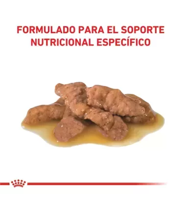 Royal Canin Urinary | Alimento Húmedo para Gatos con Problemas Urinarios