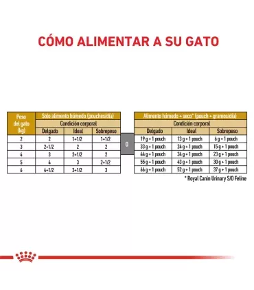 Royal Canin Urinary | Alimento Húmedo para Gatos con Problemas Urinarios