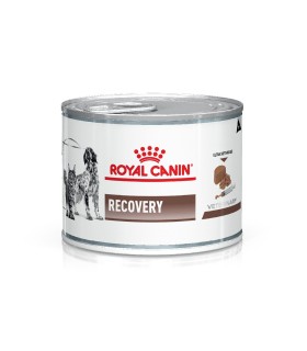 Royal Canin Recovery 195gr