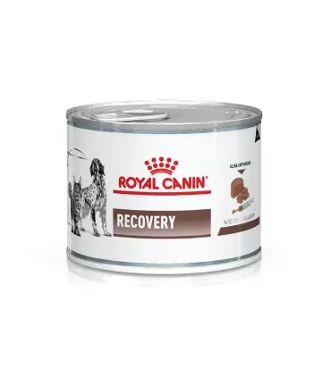 Royal Canin Recovery 195gr