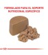Royal Canin Recovery: Recuperación Nutricional para Mascotas Enfermas