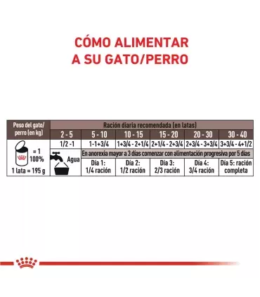 Royal Canin Recovery: Recuperación Nutricional para Mascotas Enfermas