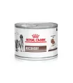 Royal Canin Recovery 195gr pack x6