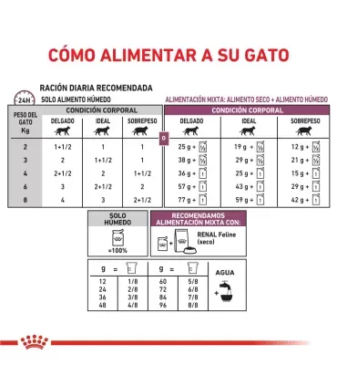 Royal Canin Early Renal | Alimento Húmedo Gatos Salud Renal 12x85g