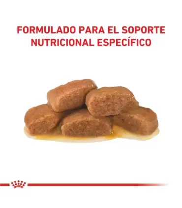Royal Canin Satiety: Control de Peso Gatos | Dieta Felina Saludable