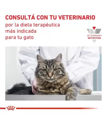 Royal Canin Satiety: Control de Peso Gatos | Dieta Felina Saludable