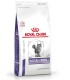 Royal Canin Gato Castrado Mature