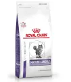 Royal Canin Gato Castrado Mature 1.5kg