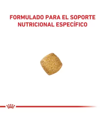 Royal Canin Gato Castrado: Control de Peso Óptimo 3kg