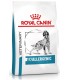 Royal Canin Anallergenic 8Kg | Alimento Hipoalergénico Perros