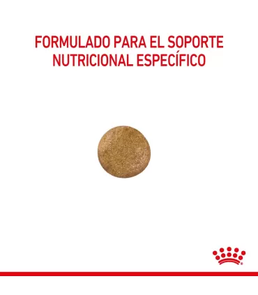Royal Canin Anallergenic 8Kg | Alimento Hipoalergénico Perros