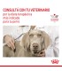Royal Canin Anallergenic 8Kg | Alimento Hipoalergénico Perros