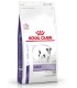 Royal Canin Calm canine