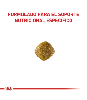 Royal Canin Calm: Alimento Premium para Perros Relajados 2kg