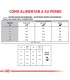Royal Canin Calm: Alimento Premium para Perros Relajados 2kg