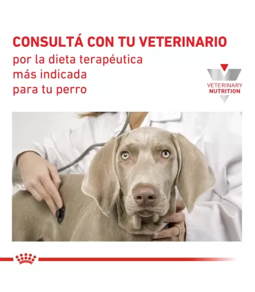 Royal Canin Calm: Alimento Premium para Perros Relajados 2kg