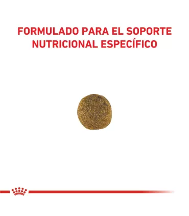 Alimento para perros Royal Canin Cardiac 2kg