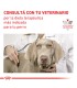 Alimento para perros Royal Canin Cardiac 2kg