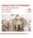 Royal Canin dog Diabetic 10kg