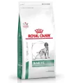Royal Canin Diabetic Canine 2kg
