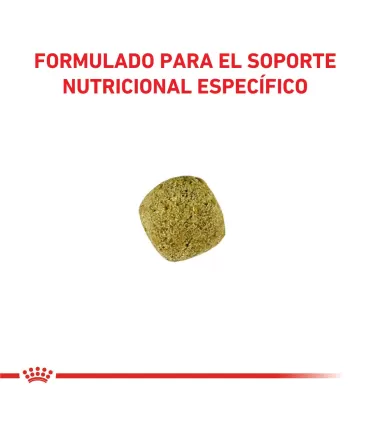 Royal Canin dog Diabetic 2kg