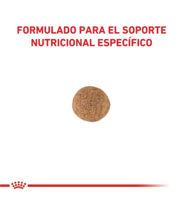 Royal Canin Gastrointest Moderate Calorie Canine 10kg