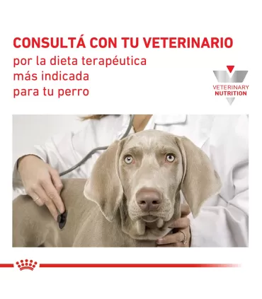 Royal Canin Gastrointest Moderate Calorie Canine 10kg
