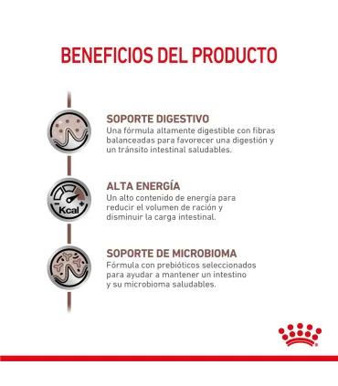 Alimento para perros Royal Canin Gastrointestinal 10kg