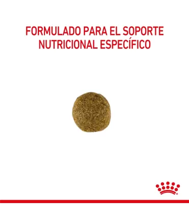 Alimento para perros Royal Canin Gastrointestinal 10kg