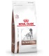 Royal Canin Gastrointestinal Canine