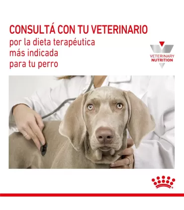 Alimento para perros Royal Canin Gastrointestinal 2kg