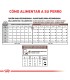 Royal Canin Gastrointestinal Puppy 2kg | Alimento Digestivo Cachorro