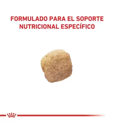 Royal Canin Hepatic | Alimento Veterinario para Perros con Problemas Hepáticos