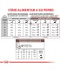 Royal Canin Hepatic | Alimento Veterinario para Perros con Problemas Hepáticos