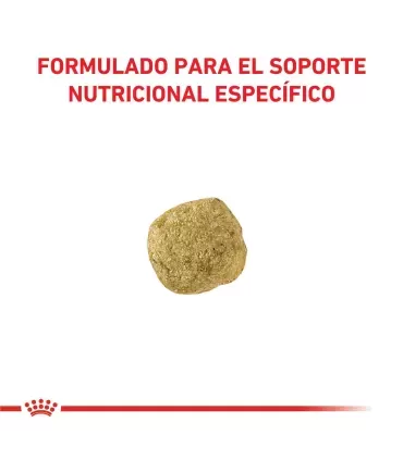 Royal Canin Hypoallergenic | Alimento Perros Dieta Baja Calorías 2kg