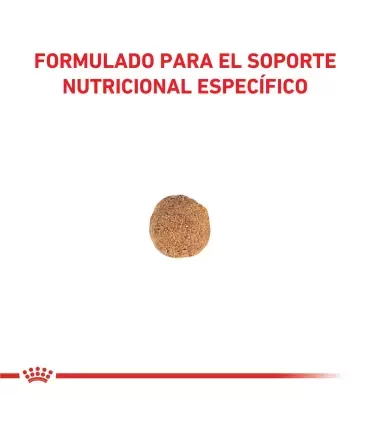 Royal Canin Hypoallergenic: Alimento Especial para Perros Pequeños