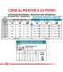 Royal Canin Hypoallergenic: Alimento Especial para Perros Pequeños