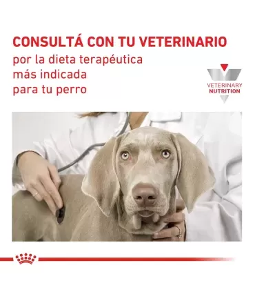 Royal Canin Hypoallergenic: Alimento Especial para Perros Pequeños