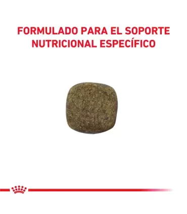 Royal Canin Mobility Canine 2kg