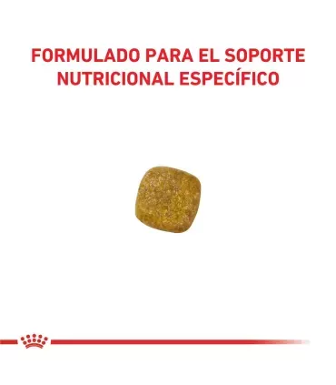 Royal Canin dog Renal 1.5kg