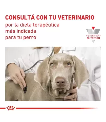 Royal Canin Satiety Support: Alimento Control Peso Perros 15kg