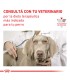 Royal Canin Urinary S/O 1.5kg | Alimento Perros Salud Urinaria