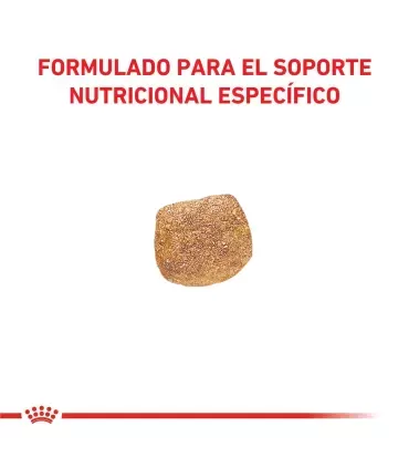 Royal Canin Urinary S/O 10kg | Alimento Perros Salud Urinaria