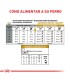 Royal Canin Urinary S/O 10kg | Alimento Perros Salud Urinaria